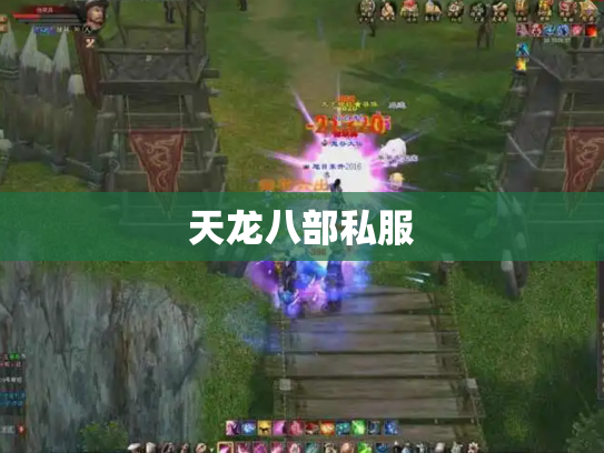 天龙八部私服