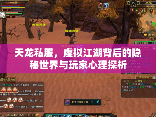 天龙私服，虚拟江湖背后的隐秘世界与玩家心理探析