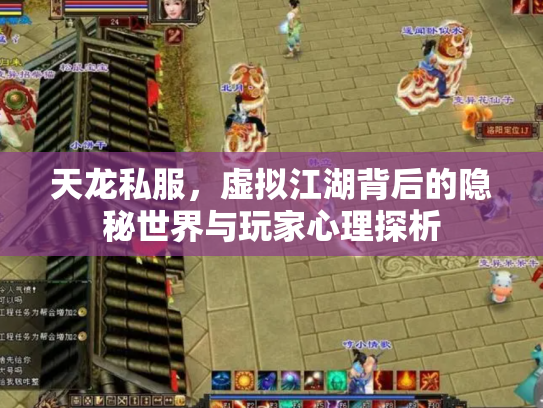 天龙私服，虚拟江湖背后的隐秘世界与玩家心理探析