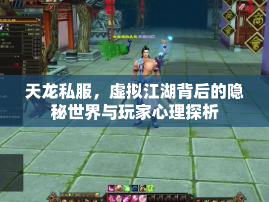 天龙私服，虚拟江湖背后的隐秘世界与玩家心理探析