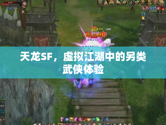 天龙SF，虚拟江湖中的另类武侠体验