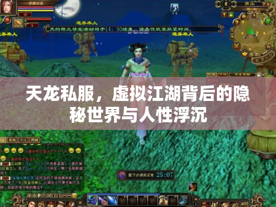 天龙私服，虚拟江湖背后的隐秘世界与人性浮沉