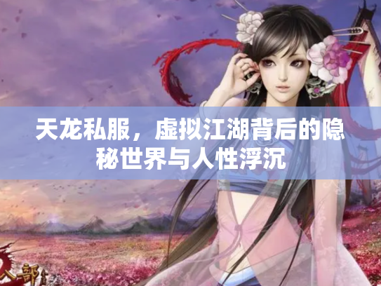 天龙私服，虚拟江湖背后的隐秘世界与人性浮沉