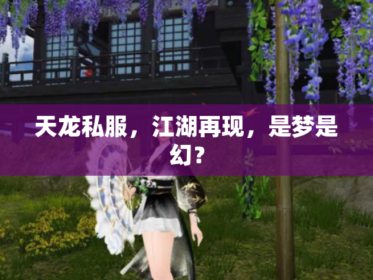 天龙私服，江湖再现，是梦是幻？