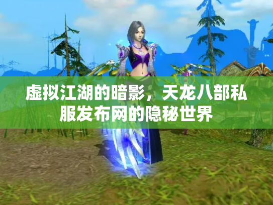 虚拟江湖的暗影，天龙八部私服发布网的隐秘世界