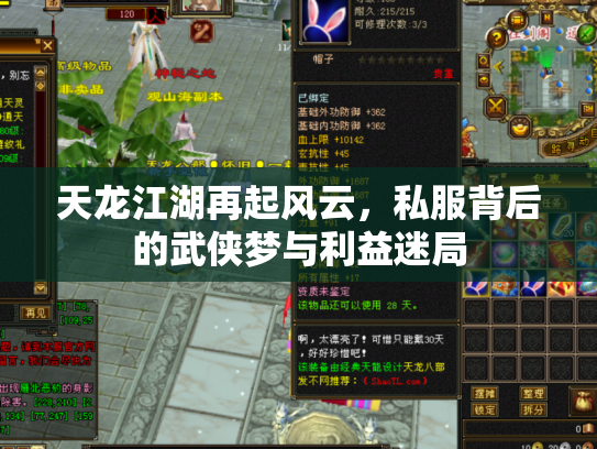 天龙江湖再起风云，私服背后的武侠梦与利益迷局