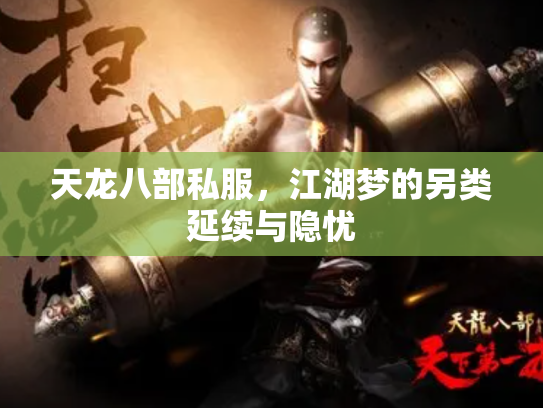 天龙八部私服，江湖梦的另类延续与隐忧