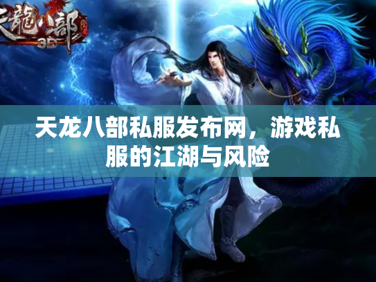天龙八部私服发布网，游戏私服的江湖与风险