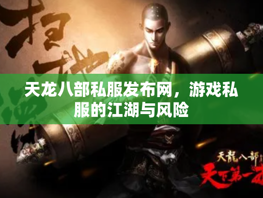 天龙八部私服发布网，游戏私服的江湖与风险