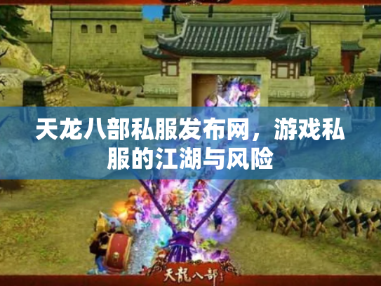 天龙八部私服发布网，游戏私服的江湖与风险