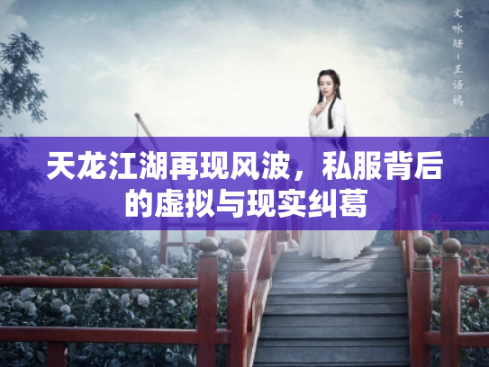 天龙江湖再现风波，私服背后的虚拟与现实纠葛