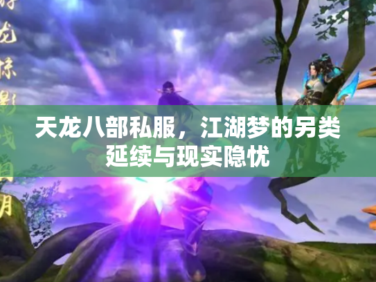 天龙八部私服，江湖梦的另类延续与现实隐忧