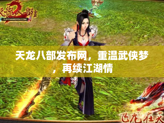 天龙八部发布网，重温武侠梦，再续江湖情