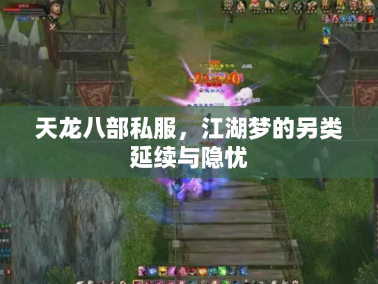 天龙八部私服，江湖梦的另类延续与隐忧