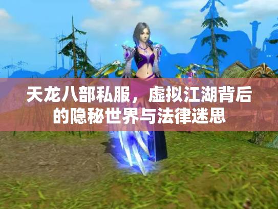 天龙八部私服，虚拟江湖背后的隐秘世界与法律迷思