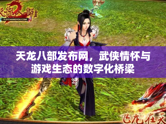 天龙八部发布网，武侠情怀与游戏生态的数字化桥梁