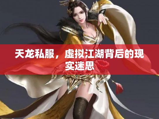 天龙私服，虚拟江湖背后的现实迷思