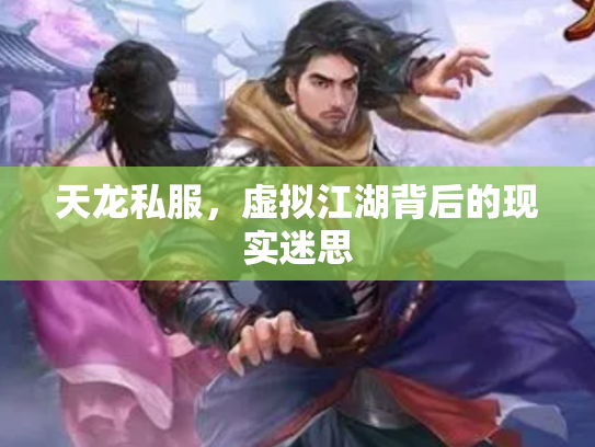 天龙私服，虚拟江湖背后的现实迷思