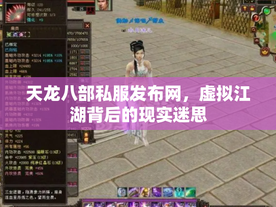 天龙八部私服发布网，虚拟江湖背后的现实迷思