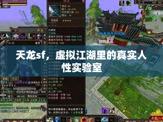 天龙sf，虚拟江湖里的真实人性实验室