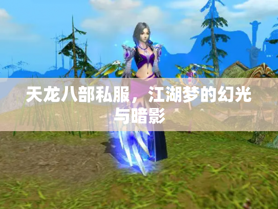 天龙八部私服，江湖梦的幻光与暗影