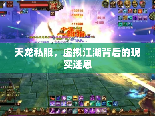 天龙私服，虚拟江湖背后的现实迷思