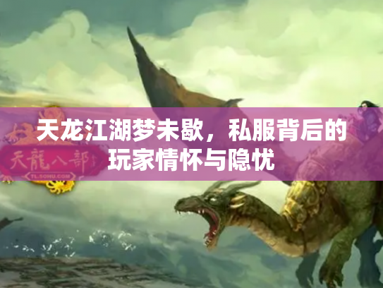 天龙江湖梦未歇，私服背后的玩家情怀与隐忧