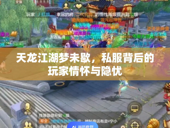 天龙江湖梦未歇，私服背后的玩家情怀与隐忧