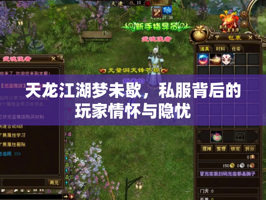 天龙江湖梦未歇，私服背后的玩家情怀与隐忧