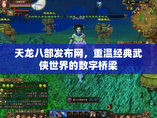 天龙八部发布网，重温经典武侠世界的数字桥梁