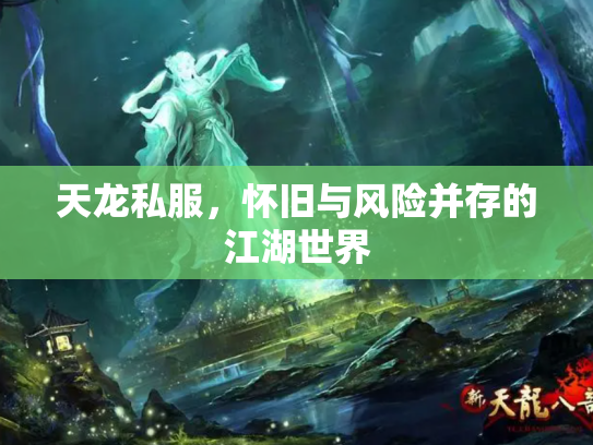 天龙私服，怀旧与风险并存的江湖世界