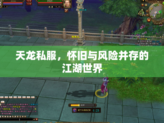 天龙私服，怀旧与风险并存的江湖世界