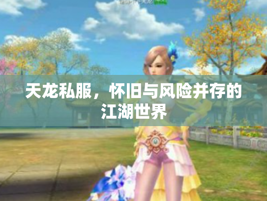 天龙私服，怀旧与风险并存的江湖世界