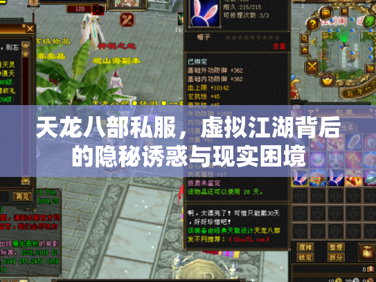 天龙八部私服，虚拟江湖背后的隐秘诱惑与现实困境