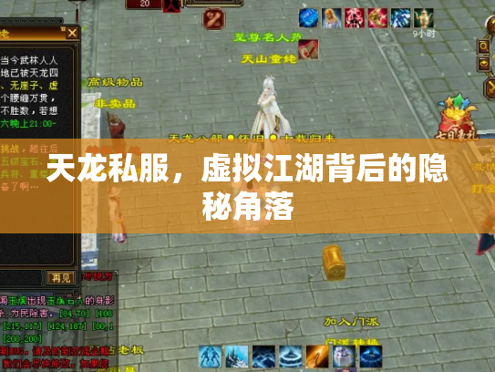 天龙私服,虚拟江湖背后的隐秘角落 天龙私服,虚拟江湖背后的隐秘角落