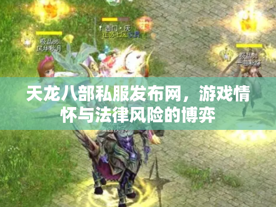天龙八部私服发布网，游戏情怀与法律风险的博弈