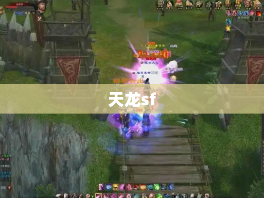 天龙sf