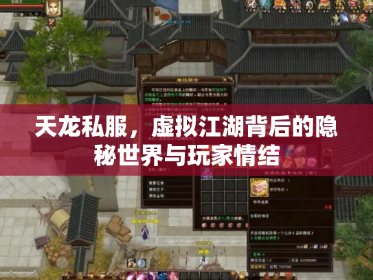 天龙私服，虚拟江湖背后的隐秘世界与玩家情结