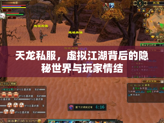 天龙私服，虚拟江湖背后的隐秘世界与玩家情结