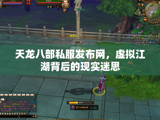 天龙八部私服发布网，虚拟江湖背后的现实迷思