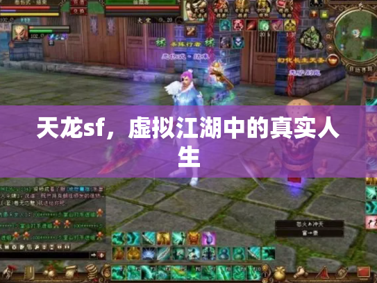 天龙sf，虚拟江湖中的真实人生
