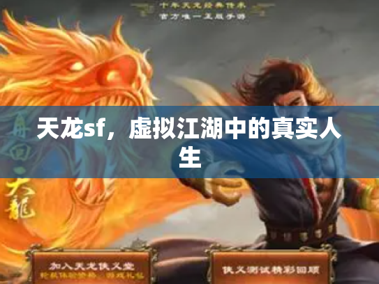 天龙sf，虚拟江湖中的真实人生