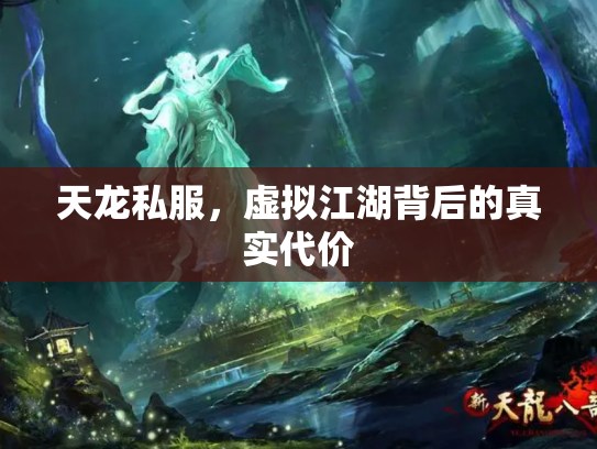 天龙私服，虚拟江湖背后的真实代价