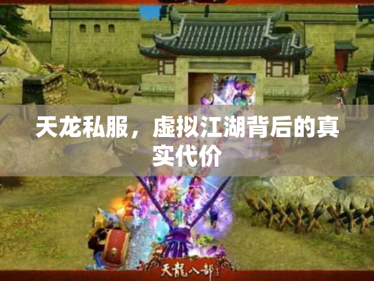天龙私服，虚拟江湖背后的真实代价