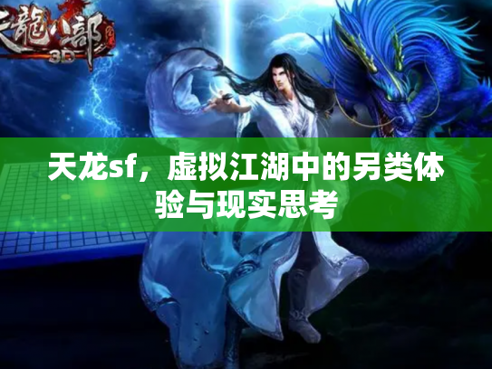 天龙sf，虚拟江湖中的另类体验与现实思考