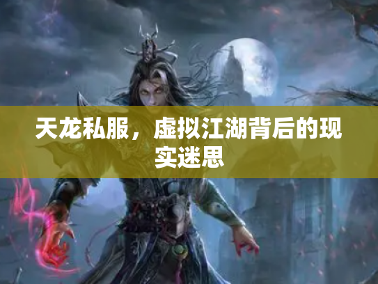 天龙私服，虚拟江湖背后的现实迷思