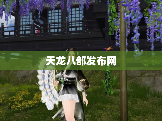 天龙八部发布网