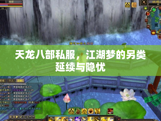 天龙八部私服，江湖梦的另类延续与隐忧