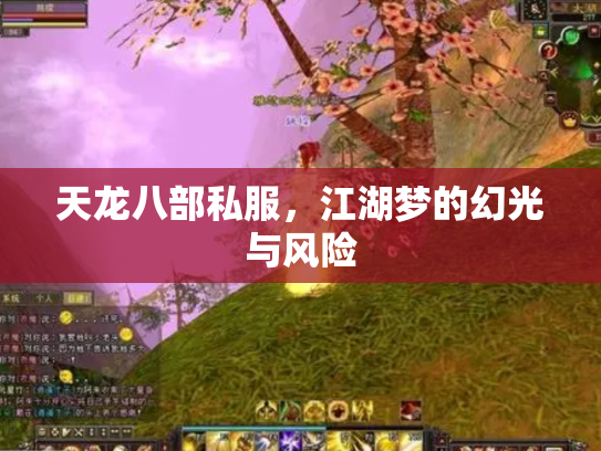 天龙八部私服，江湖梦的幻光与风险