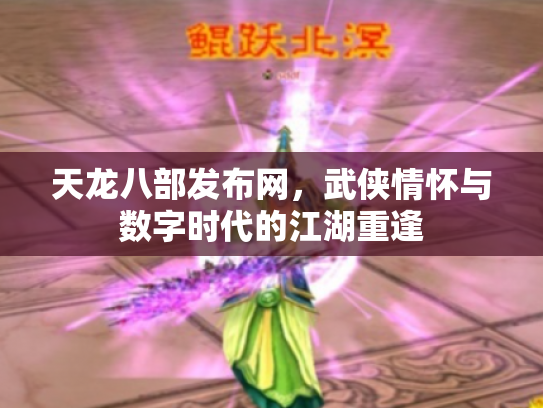 天龙八部发布网，武侠情怀与数字时代的江湖重逢